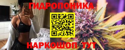 прущие крисы Кандалакша