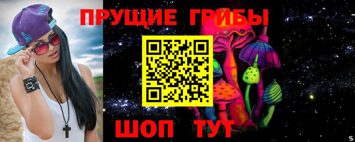Псилоцибиновые грибы GOLDEN TEACHER  Вход с VPN  Кропоткин  Псилоцибиновые грибы мухоморы 